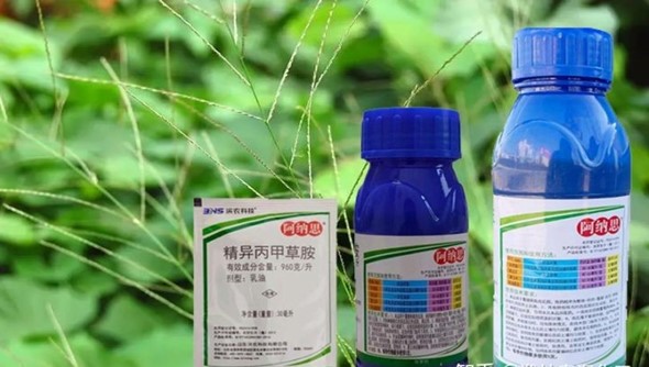 Application of caustic soda in pesticide industry.